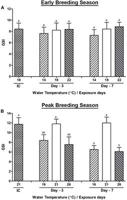 Thermal Stress Affects Gonadal Maturation by Regulating GnRH, GnRH Receptor, APGWamide, and Serotonin Receptor Gene Expression in Male Pacific Abalone, Haliotis discus hannai During Breeding Season